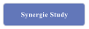 Synergie Study
